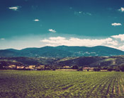 企业数字化转型的DDOS在线攻击平台